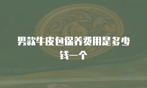 男款牛皮包保养费用是多少钱一个