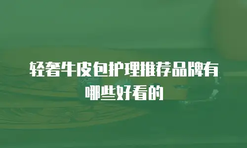 轻奢牛皮包护理推荐品牌有哪些好看的