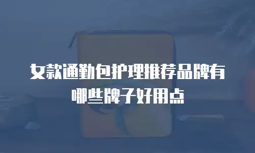 女款通勤包护理推荐品牌有哪些牌子好用点