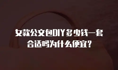 女款公文包DIY多少钱一套合适吗为什么便宜？