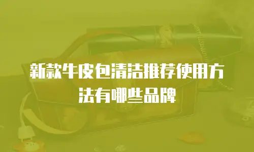 新款牛皮包清洁推荐使用方法有哪些品牌