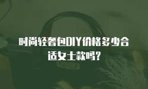 时尚轻奢包DIY价格多少合适女士款吗？