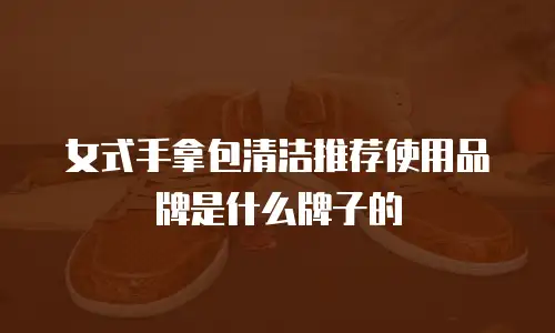 女式手拿包清洁推荐使用品牌是什么牌子的