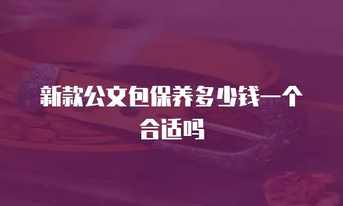 新款公文包保养多少钱一个合适吗