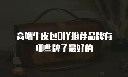 高端牛皮包DIY推荐品牌有哪些牌子最好的