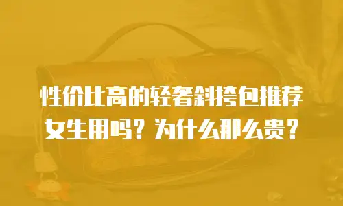性价比高的轻奢斜挎包推荐女生用吗？为什么那么贵？