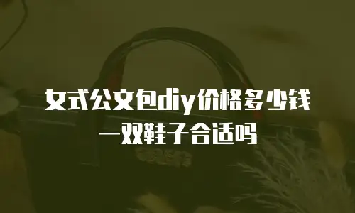 女式公文包diy价格多少钱一双鞋子合适吗