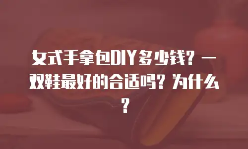 女式手拿包DIY多少钱？一双鞋最好的合适吗？为什么？