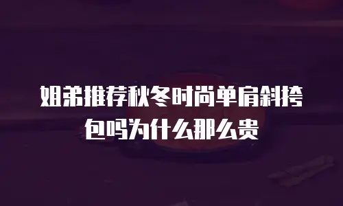 姐弟推荐秋冬时尚单肩斜挎包吗为什么那么贵