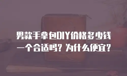 男款手拿包DIY价格多少钱一个合适吗？为什么便宜？