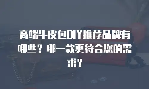 高端牛皮包DIY推荐品牌有哪些？哪一款更符合您的需求？