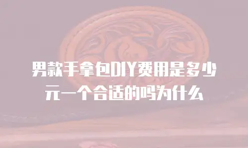 男款手拿包DIY费用是多少元一个合适的吗为什么