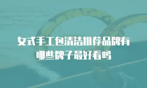 女式手工包清洁推荐品牌有哪些牌子最好看吗