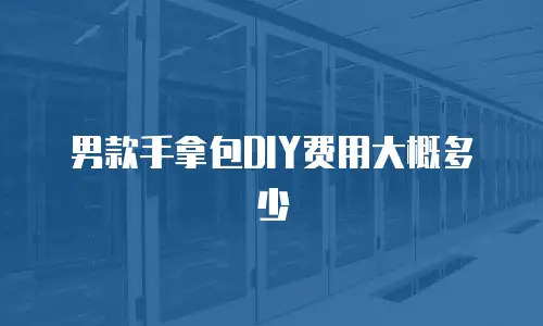 男款手拿包DIY费用大概多少