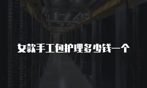 女款手工包护理多少钱一个
