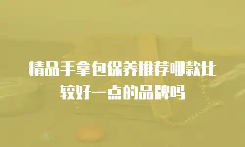 精品手拿包保养推荐哪款比较好一点的品牌吗