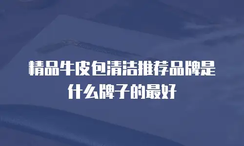 精品牛皮包清洁推荐品牌是什么牌子的最好