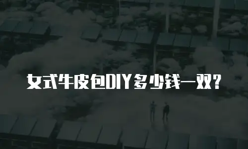 女式牛皮包DIY多少钱一双？