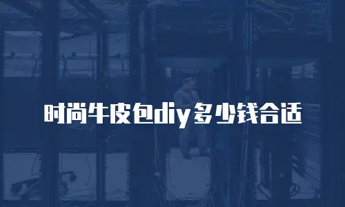 时尚牛皮包diy多少钱合适