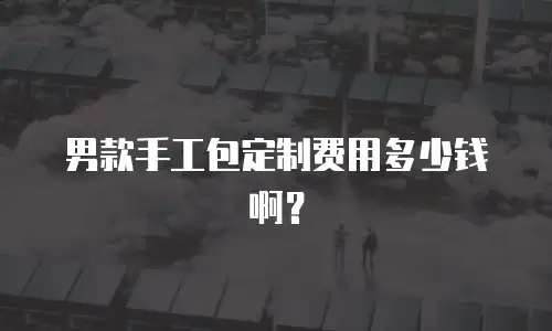 男款手工包定制费用多少钱啊？