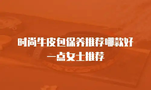 时尚牛皮包保养推荐哪款好一点女士推荐