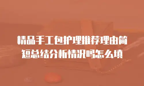精品手工包护理推荐理由简短总结分析情况吗怎么填