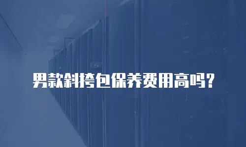 男款斜挎包保养费用高吗？