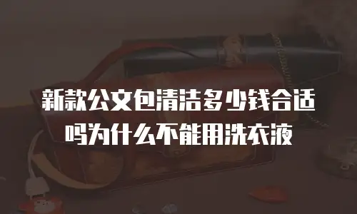 新款公文包清洁多少钱合适吗为什么不能用洗衣液