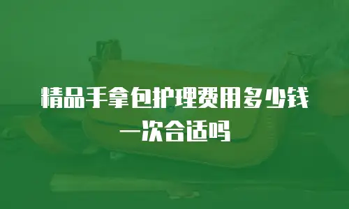 精品手拿包护理费用多少钱一次合适吗