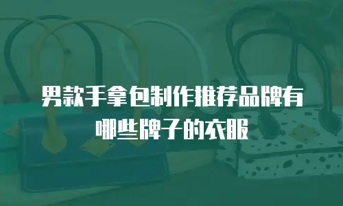 男款手拿包制作推荐品牌有哪些牌子的衣服
