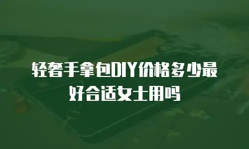 轻奢手拿包DIY价格多少最好合适女士用吗