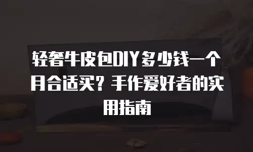 轻奢牛皮包DIY多少钱一个月合适买？手作爱好者的实用指南