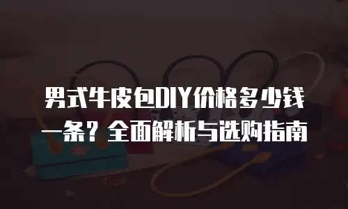 男式牛皮包DIY价格多少钱一条？全面解析与选购指南