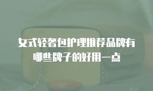 女式轻奢包护理推荐品牌有哪些牌子的好用一点