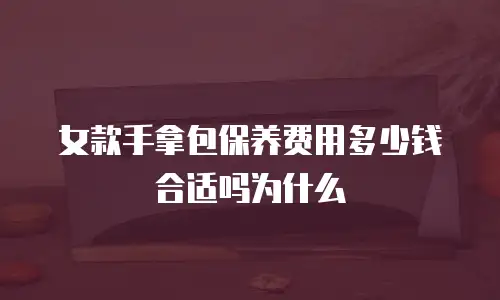 女款手拿包保养费用多少钱合适吗为什么