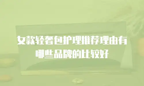 女款轻奢包护理推荐理由有哪些品牌的比较好