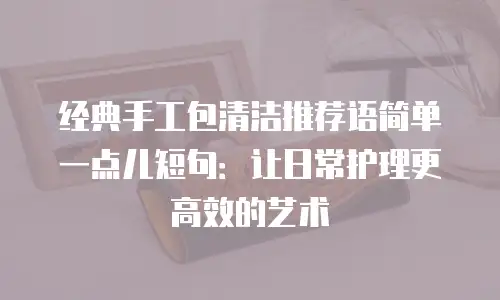 经典手工包清洁推荐语简单一点儿短句：让日常护理更高效的艺术