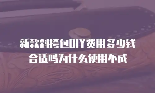 新款斜挎包DIY费用多少钱合适吗为什么使用不成