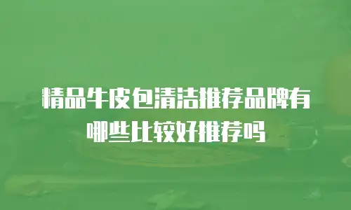 精品牛皮包清洁推荐品牌有哪些比较好推荐吗