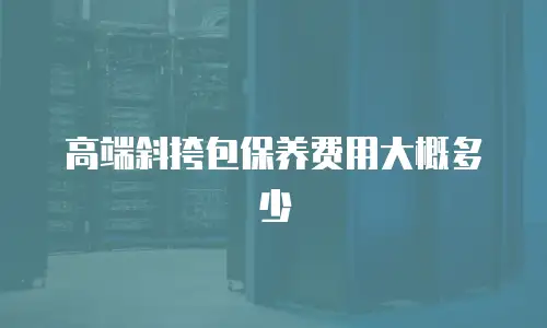 高端斜挎包保养费用大概多少