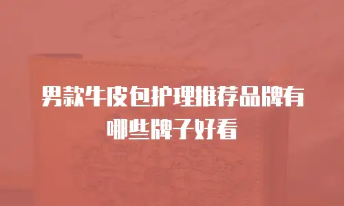 男款牛皮包护理推荐品牌有哪些牌子好看