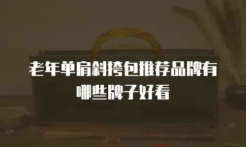 老年单肩斜挎包推荐品牌有哪些牌子好看