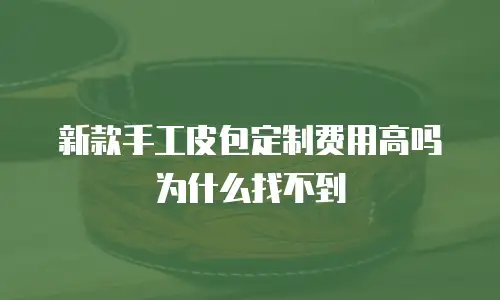 新款手工皮包定制费用高吗为什么找不到