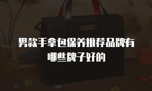 男款手拿包保养推荐品牌有哪些牌子好的