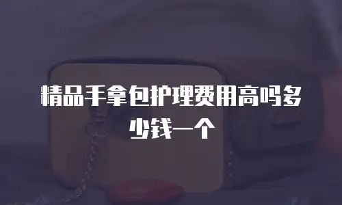 精品手拿包护理费用高吗多少钱一个
