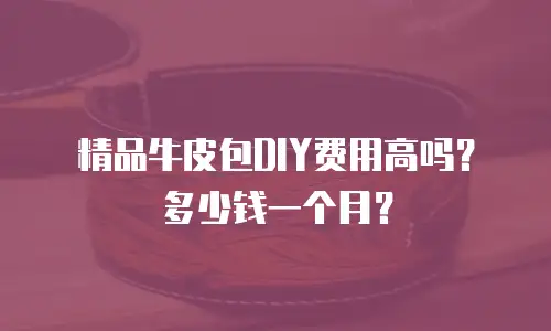 精品牛皮包DIY费用高吗？多少钱一个月？