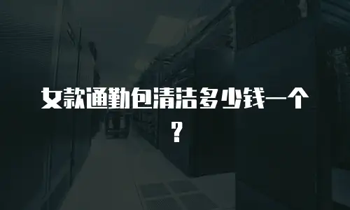 女款通勤包清洁多少钱一个？