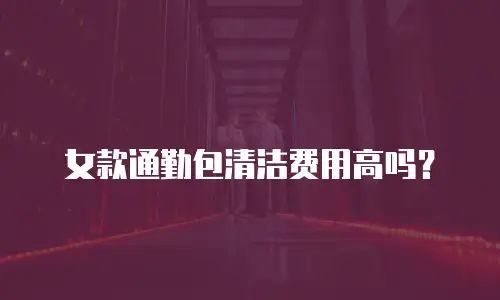女款通勤包清洁费用高吗？