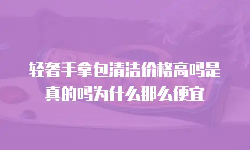 轻奢手拿包清洁价格高吗是真的吗为什么那么便宜