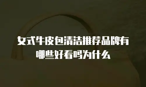 女式牛皮包清洁推荐品牌有哪些好看吗为什么